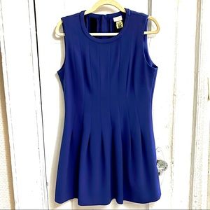 Royal Blue Dress
